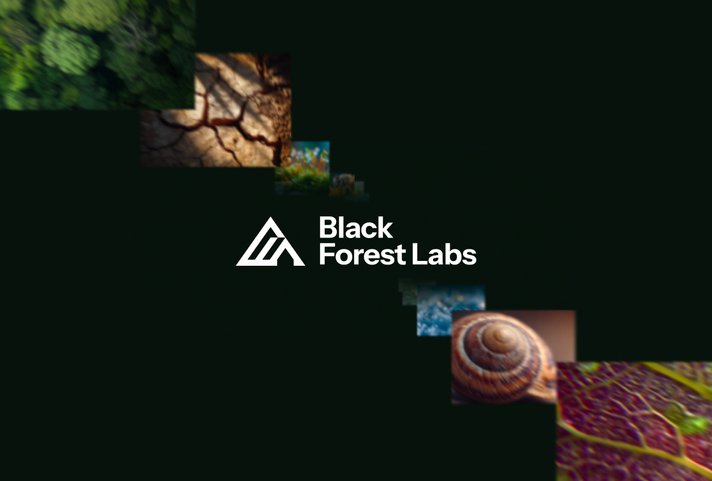 Black Forest Labs website