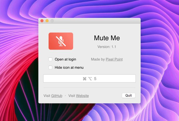 Mute Me application start window with settings